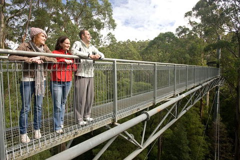 Adventure Sunset Three Day Great Ocean Road Tour - Accommodation VIC 14