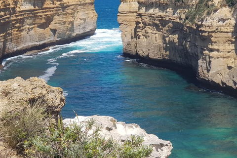 Adventure Sunset Three Day Great Ocean Road Tour - Accommodation VIC 27