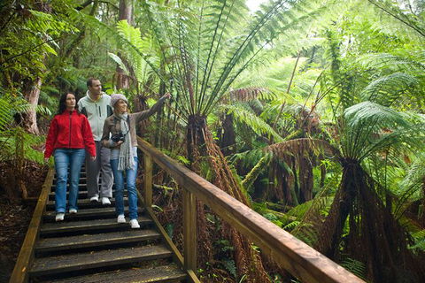 Adventure Sunset Three Day Great Ocean Road Tour - Accommodation VIC 13