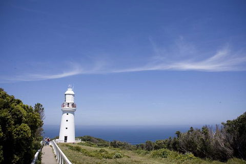 Adventure Sunset Three Day Great Ocean Road Tour - Accommodation VIC 24