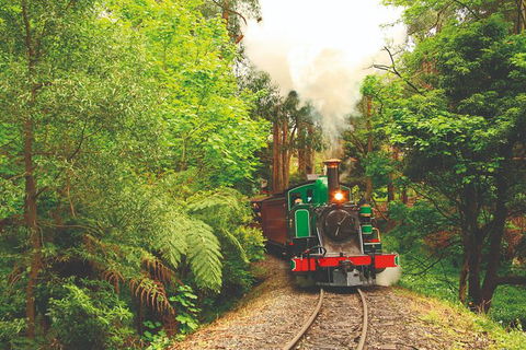 Half Day Puffing Billy Train Journey From Melbourne - Accommodation VIC 2