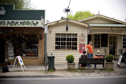 Half Day Puffing Billy Train Journey From Melbourne - Accommodation VIC 10