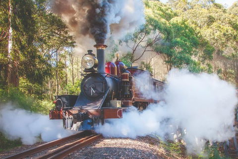 Half Day Puffing Billy Train Journey From Melbourne - Accommodation VIC 4