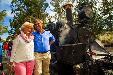 Half Day Puffing Billy Train Journey From Melbourne - Accommodation VIC 8