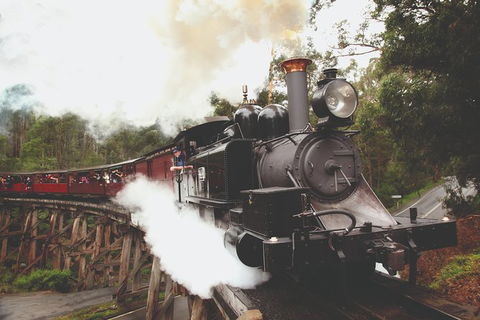 Half Day Puffing Billy Train Journey From Melbourne - Accommodation VIC 3