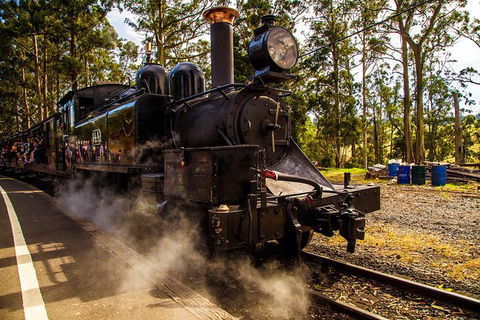 Half Day Puffing Billy Train Journey From Melbourne - Accommodation VIC 6