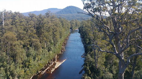 Small-group DayTour From Hobart: Hastings Caves, Huon Valley And Tahune AirWalk - Accommodation VIC 3