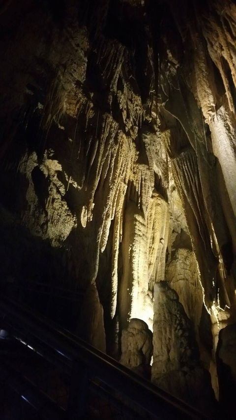 Small-group DayTour From Hobart: Hastings Caves, Huon Valley And Tahune AirWalk - Accommodation VIC 5