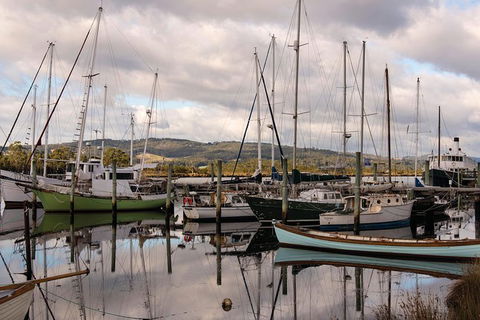 Small-group DayTour From Hobart: Hastings Caves, Huon Valley And Tahune AirWalk - Accommodation VIC 13