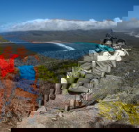 Full-Day Tour One-Way from Launceston to Hobart with Freycinet National Park - Accommodation VIC