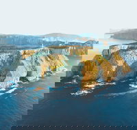 3-Hour Tasman Peninsula Wilderness Cruise from Port Arthur - Accommodation VIC