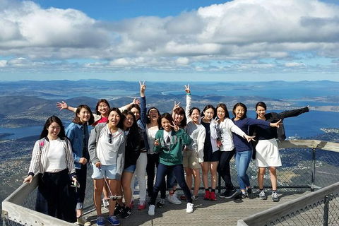 Mt Field National Park Active Day-Trip Including Bonorong And Mt Wellington - Accommodation VIC 3
