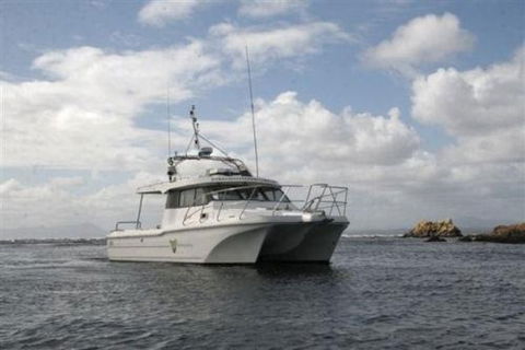 Bonnet Island Experience Departing From Strahan - Accommodation VIC 1
