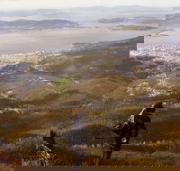 Mt Wellington Half Day Guided Summit Hike - Accommodation VIC