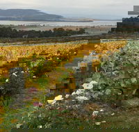 Mona and Wine Experience Tour - Accommodation VIC