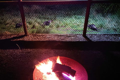 Sunset Experience - Accommodation VIC 5