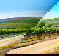 Full Day Tamar Valley Wine Tour - Accommodation VIC