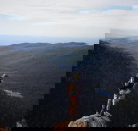 Mount Field National Park - Tarn Shelf  Russell Falls - Guided Hiking Tour - Accommodation VIC