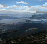 Mount Wellington Tour from Hobart - Accommodation VIC