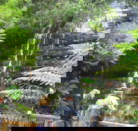Mt Field National Park and Russell Falls from Hobart - Accommodation VIC