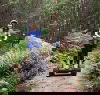 Hollybank Wilderness Adventures - Segway Tour - Accommodation VIC