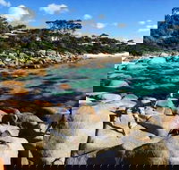 4-Day Tasmania East Coast Adventure from Launceston to Hobart Including Bay of Fires Wineglass Bay Bruny Island and Port Arthu - Accommodation VIC
