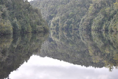 Gordon River Cruise Departing From Strahan - Accommodation VIC 17