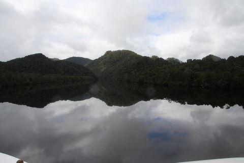 Gordon River Cruise Departing From Strahan - Accommodation VIC 18