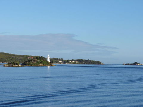 Gordon River Cruise Departing From Strahan - Accommodation VIC 8