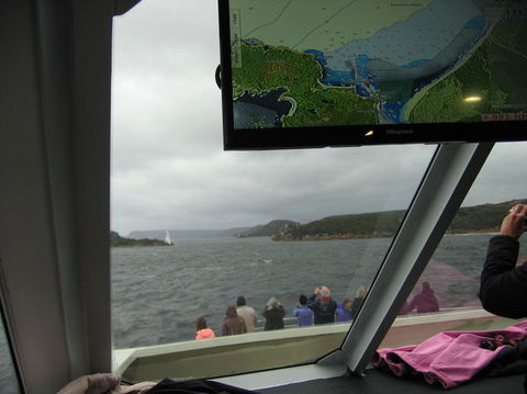 Gordon River Cruise Departing From Strahan - Accommodation VIC 5