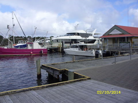Gordon River Cruise Departing From Strahan - Accommodation VIC 14