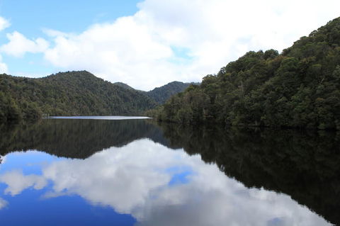 Gordon River Cruise Departing From Strahan - Accommodation VIC 21