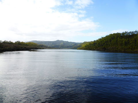 Gordon River Cruise Departing From Strahan - Accommodation VIC 10
