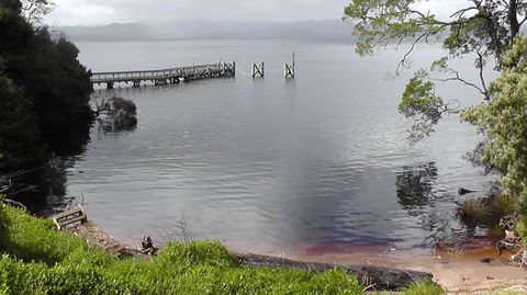 Gordon River Cruise Departing From Strahan - Accommodation VIC 22