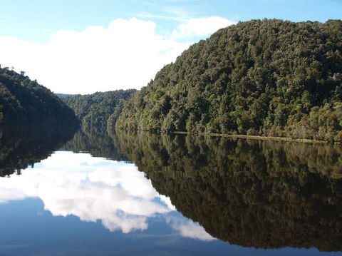 Gordon River Cruise Departing From Strahan - Accommodation VIC 16