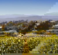 Josef Chromy Wines Winery Tour Including Tasting and Lunch - Accommodation VIC