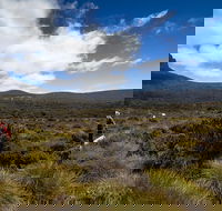 6-Day Overland Track PhotoTour - Accommodation VIC