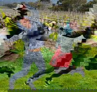 Mclaren Vale Luxury Full Day Small Group Wine Tour - Accommodation VIC