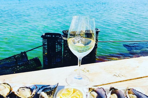 Coffin Bay Oyster Farm & Tasting Tour - Accommodation VIC 11