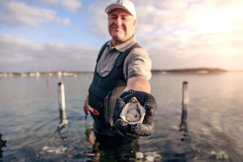 Coffin Bay Oyster Farm & Tasting Tour - Accommodation VIC 3