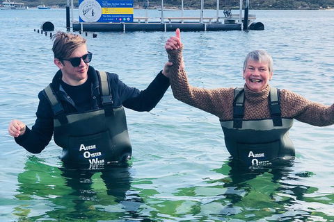Coffin Bay Oyster Farm & Tasting Tour - Accommodation VIC 12