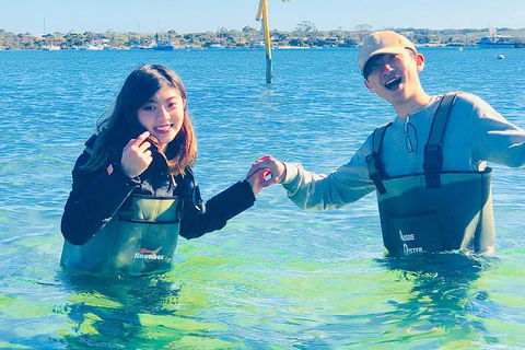 Coffin Bay Oyster Farm & Tasting Tour - Accommodation VIC 4