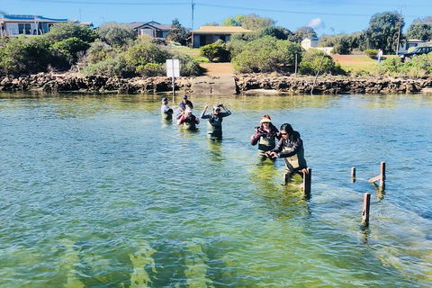 Coffin Bay Oyster Farm & Tasting Tour - Accommodation VIC 6