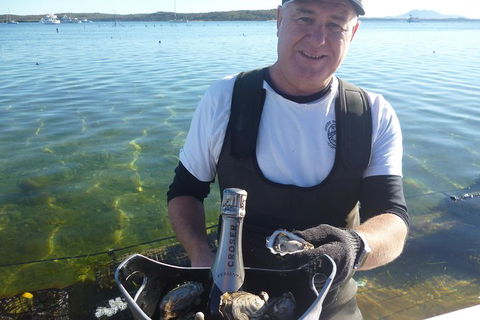 Coffin Bay Oyster Farm & Tasting Tour - Accommodation VIC 2