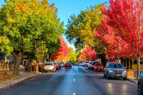 Adelaide City Highlights With Hahndorf And Mt. Lofty - Accommodation VIC 7