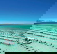 Coffin Bay Day Tour - A Taste of Coffin Bay - Accommodation VIC