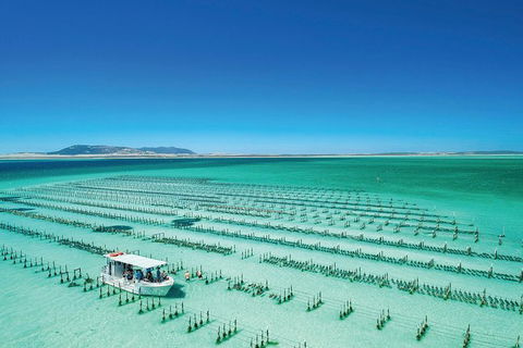 Coffin Bay Day Tour - A Taste Of Coffin Bay - Accommodation VIC 0