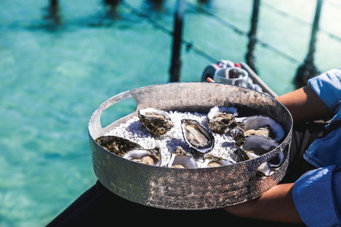 Coffin Bay Day Tour - A Taste Of Coffin Bay - Accommodation VIC 8