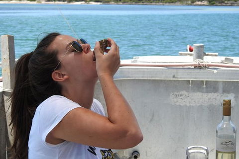 Coffin Bay Day Tour - A Taste Of Coffin Bay - Accommodation VIC 15