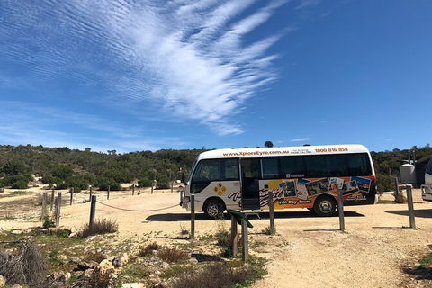 Coffin Bay Day Tour - A Taste Of Coffin Bay - Accommodation VIC 4